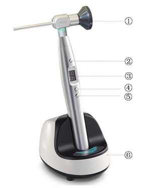 Portable LED Exam Light